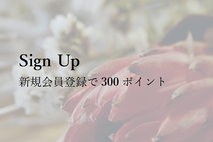 新規会員登録で300ポイントがもらえるキャンペーン案内画像
