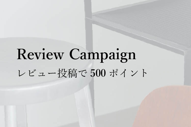 レビュー投稿で500ポイントがもらえるキャンペーン案内画像
