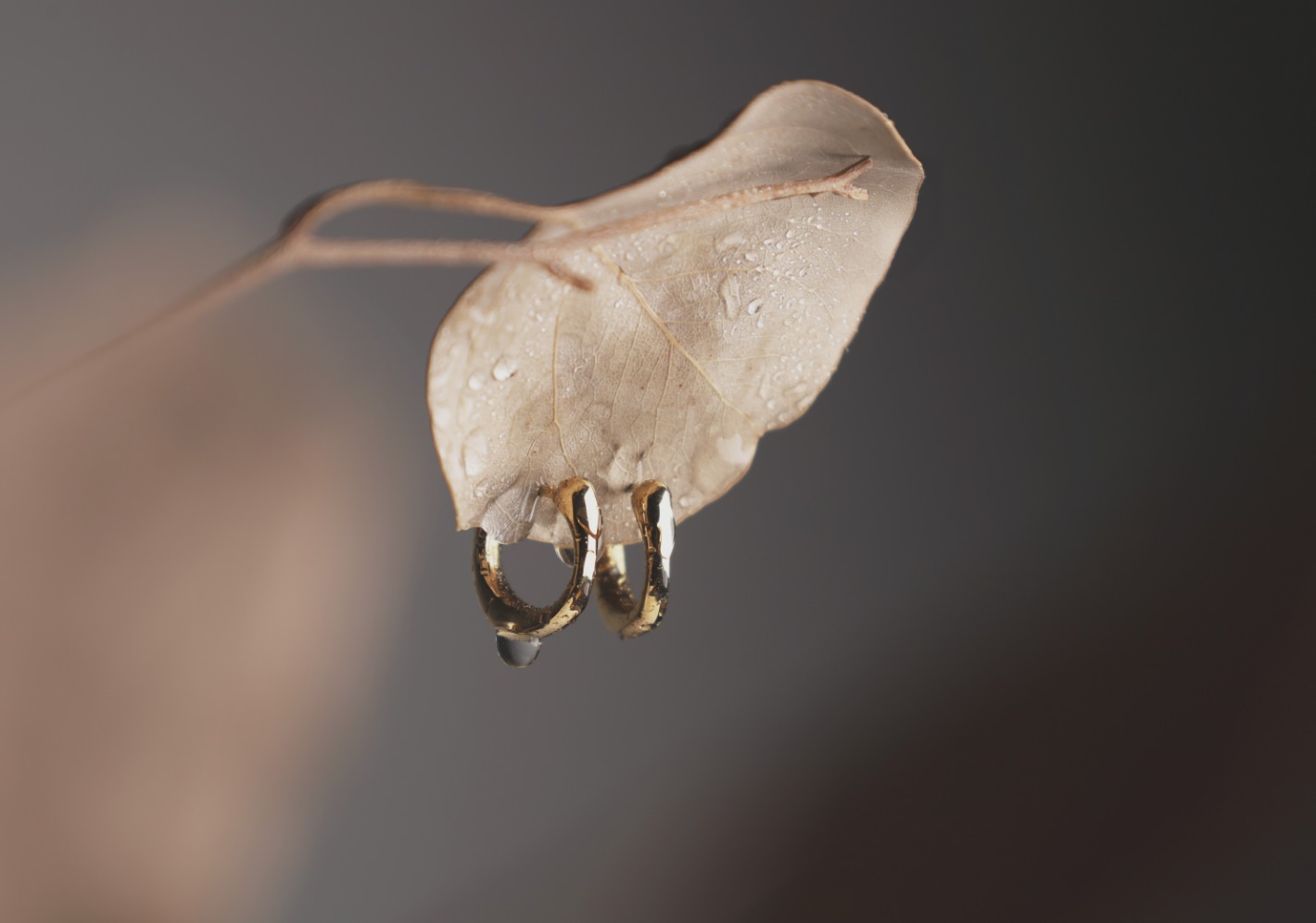 水に滴っているアクセサリー