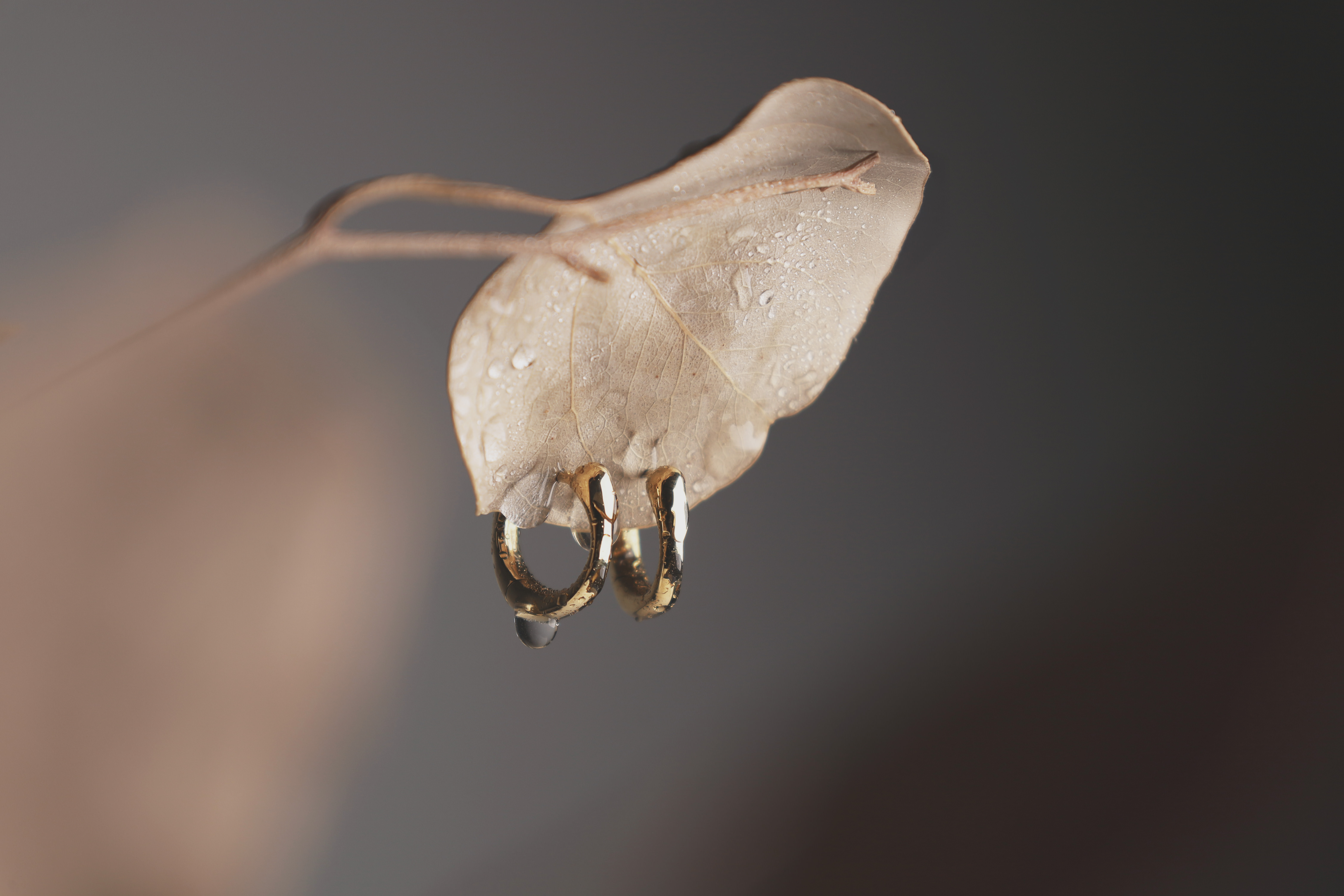 指輪をしている手で水を触っている様子