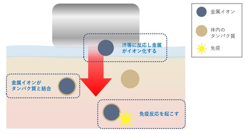 金属アレルギーの原因|【解説】金属アレルギーはなぜ起こるのか?アレルギー対応のおすすめのステンレス(316L)アクセサリーをご紹介!
