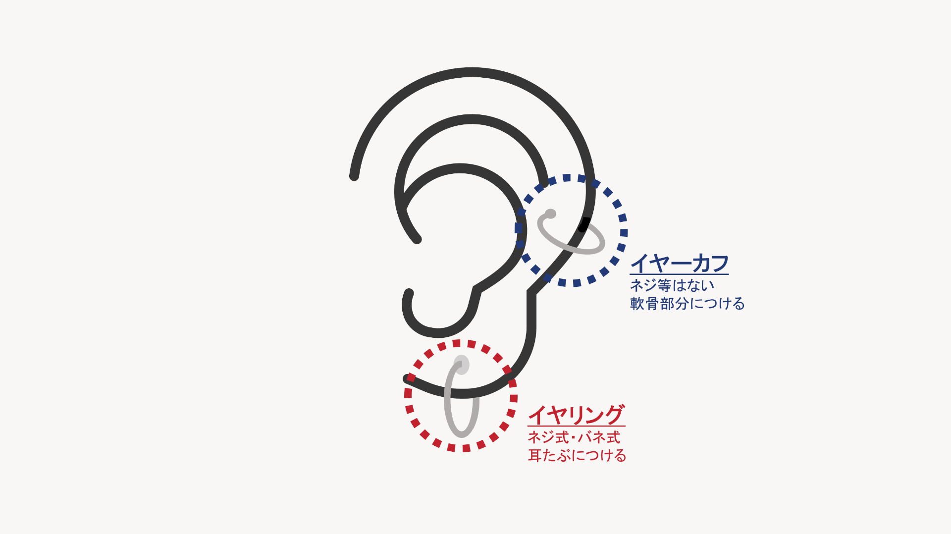 【図解】イヤーカフの位置と定義|イヤーカフとは?ステンレスアクセサリーブランドのLHME(エルエイチエムイー)が徹底解説!