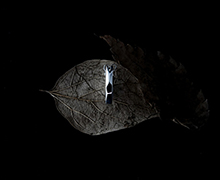 クロッシングピアス/フラグメント