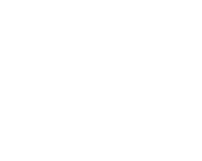 Lion Heart 23th anniversary